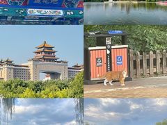 -莲花池公园
