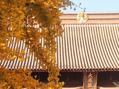 -苏州碑刻博物馆