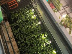 -甲大帅·甲鱼·椰子鸡主题餐厅(唐家店)