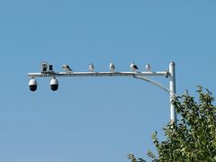 -鸭绿江中朝界河游船(1号观光码头)