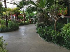 -南宫五洲植物乐园