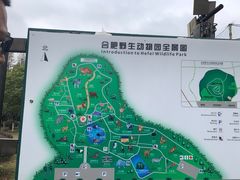 -合肥野生动物园