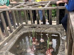 -天芳悦潭度假村温泉