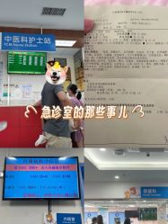 -广州市妇女儿童医疗中心(儿童院区)