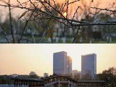 -西海子公园