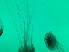 -沈阳海洋探索中心