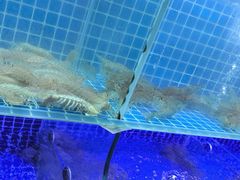 -阿军排档·烧烤