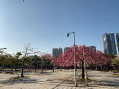 -海港城购物中心