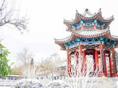 -趵突泉景区