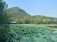 -八卦田遗址公园
