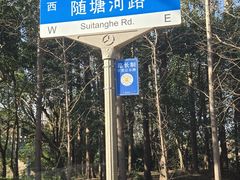 -上海海湾国家森林公园