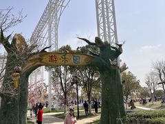 -金卉庄园