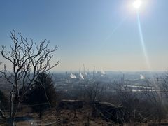 -白水寺森林公园