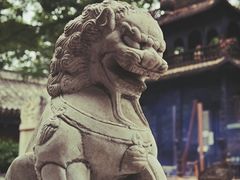 -白云观