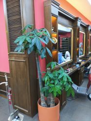 -贝勒爷专业男发