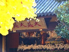-龙华寺