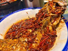 -百味地锅鸡(夹河西街店)