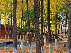 -艾溪湖湿地公园