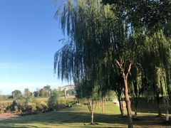 -洪湖生态旅游区