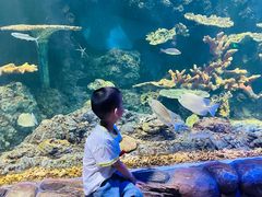 -华夏文旅海洋公园