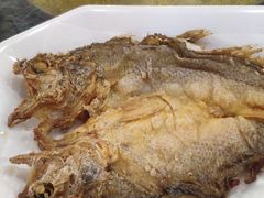-绿雅居原生态农庄(小涌店)