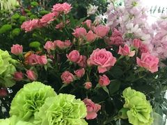 -亭亭鲜花店(中山北路店)
