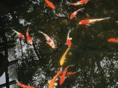 -云溪植物园