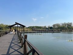 -溱湖国家湿地公园