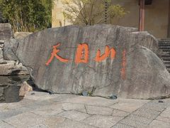 -天目山大树王景区