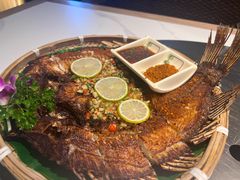 -云尊府云南菜·蒸汽石锅鱼(学清路店)