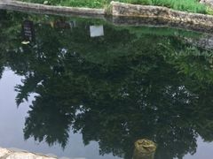 -成都市活水公园