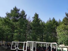 -白草畔自然风景区