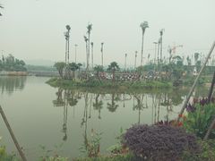 -枫香湖儿童公园