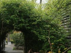 -T80科技文化国际社区-停车场