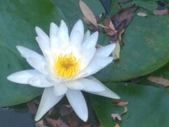 -镇江市南山风景名胜区竹林景区