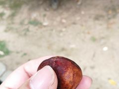 -幕燕滨江·长江观音景区