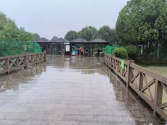 -中国扬子鳄村