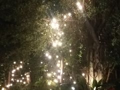 景点-南宁方特东盟神画