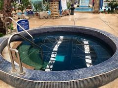 -天泉水都(子固路馆)