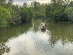 -溱湖国家湿地公园