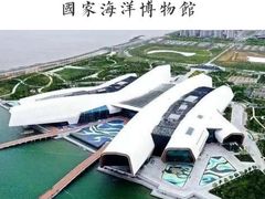 -贝林大翅鲸简餐厅(国家海洋博物馆店)