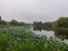 -上海市保健医疗中心