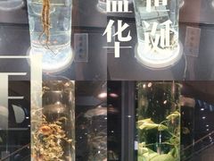 -广东中医药博物馆