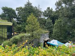 -三鹰之森吉卜力美术馆