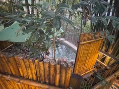 -花水湾第一村温泉大酒店