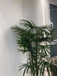 -杜卡诗·美容美发