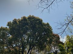 -上海吴淞炮台湾国家湿地公园