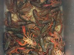 -沈阳海洋探索中心