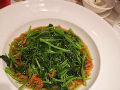 -品悦酒店(三林古镇店)