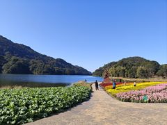 -广州市石门国家森林公园